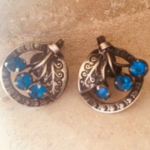 Vintage Beautiful Blue Screw Back Earrings